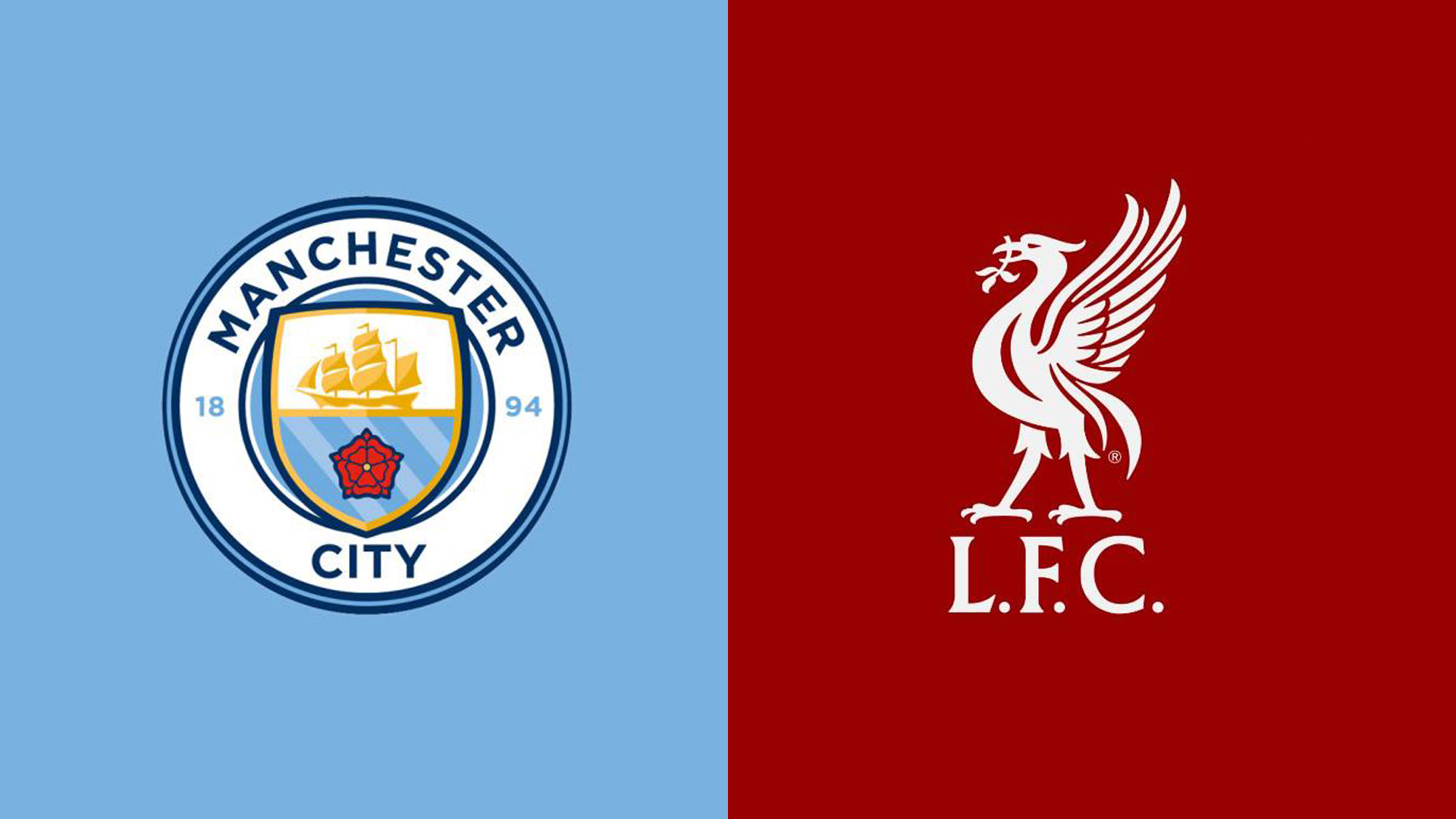 职业体育的 职业体育的